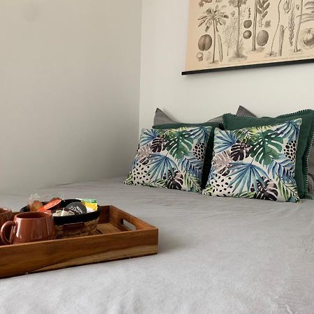 Le Petit Bali - Studio - Wifi - Parking - Coeur De Ville Pont-lʼAbbé Eksteriør bilde